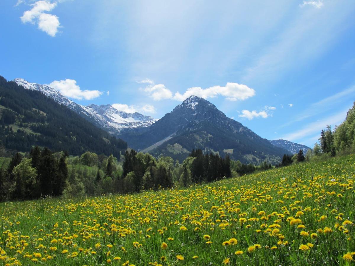 Hornblick Fewo- Ab Mai Freie Fahrt Mit Bergbahnen Oberstdorf Exteriér fotografie